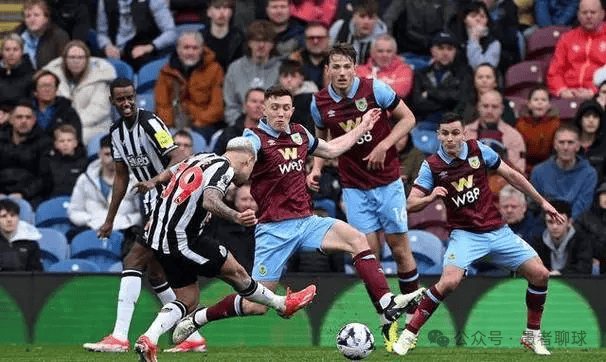 燃可能成为 燃可能成为