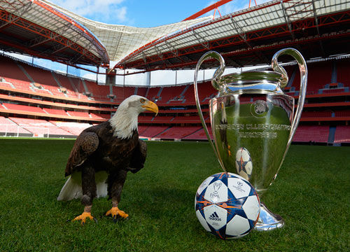 和复出情况 和复出情况