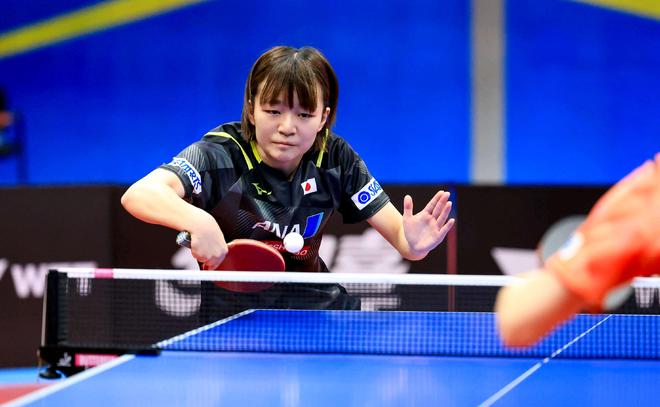 的成长路径 的成长路径