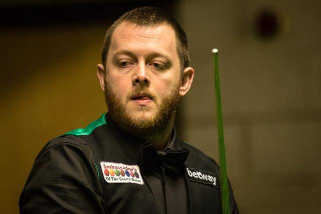 观赏性和激 观赏性和激